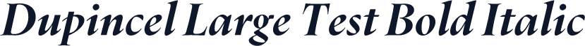 Dupincel Large Test Bold Italic