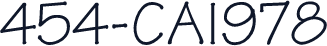454-CAI978