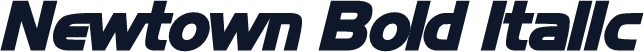 Newtown Bold Italic
