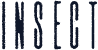 Insect
