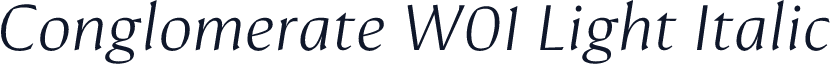 Conglomerate W01 Light Italic