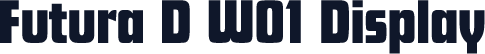 Futura D W01 Display