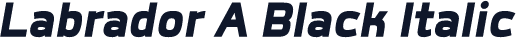 Labrador A Black Italic
