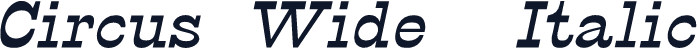 Circus Wide  Italic