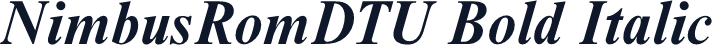 NimbusRomDTU Bold Italic
