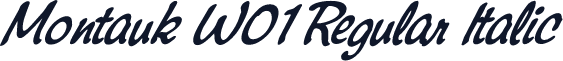 Montauk W01 Regular Italic