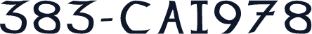 383-CAI978
