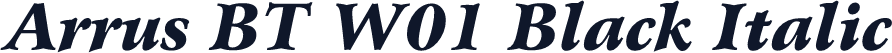 Arrus BT W01 Black Italic