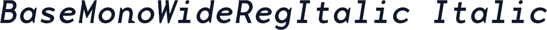 BaseMonoWideRegItalic Italic