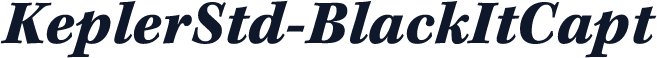 KeplerStd-BlackItCapt
