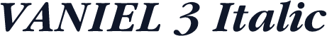VANIEL 3 Italic