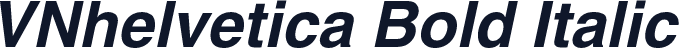 VNhelvetica Bold Italic