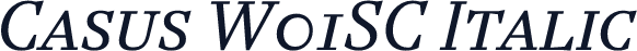 Casus W01SC Italic