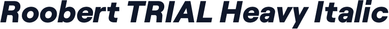 Roobert TRIAL Heavy Italic