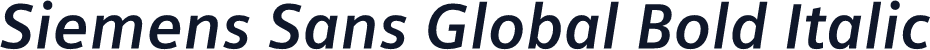 Siemens Sans Global Bold Italic