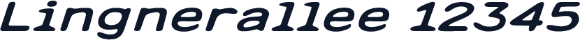 Lingnerallee 12345
