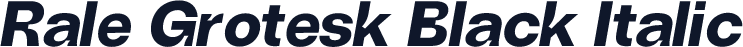 Rale Grotesk Black Italic