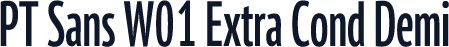 PT Sans W01 Extra Cond Demi