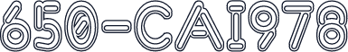 650-CAI978
