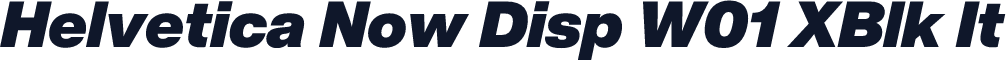 Helvetica Now Disp W01 XBlk It