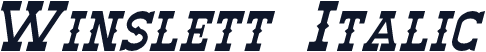 Winslett Italic