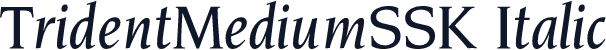 TridentMediumSSK Italic