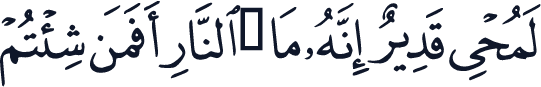 QCF_P481