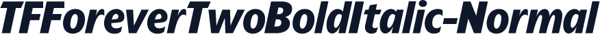 TFForeverTwoBoldItalic-Normal