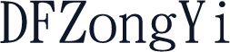 DFZongYi