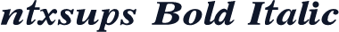 ntxsups Bold Italic