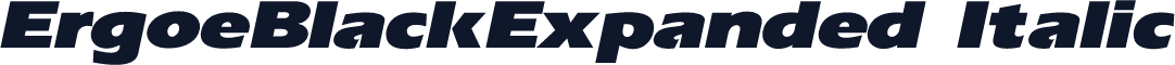 ErgoeBlackExpanded Italic