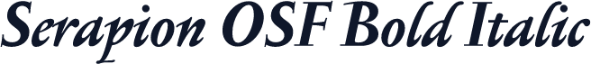 Serapion OSF Bold Italic