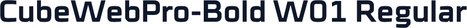 CubeWebPro-Bold W01 Regular