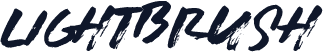 LIGHTBRUSH