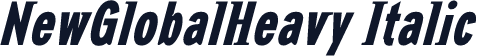 NewGlobalHeavy Italic