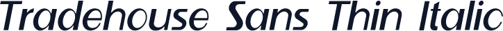 Tradehouse Sans Thin Italic