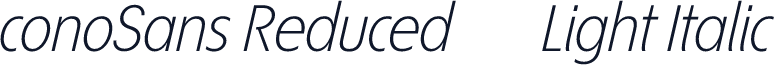 ÉconoSans Reduced 46 Light Italic