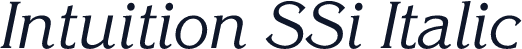 Intuition SSi Italic