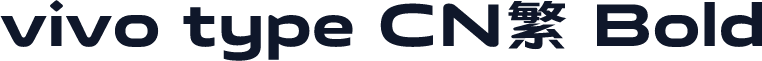 vivo type CN繁 Bold
