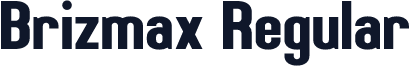 Brizmax Regular