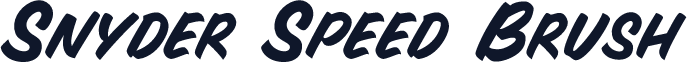 Snyder Speed Brush