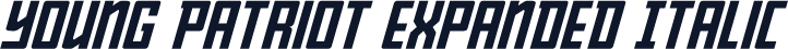 Young Patriot Expanded Italic
