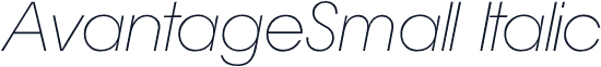 AvantageSmall Italic
