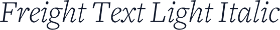 Freight Text Light Italic