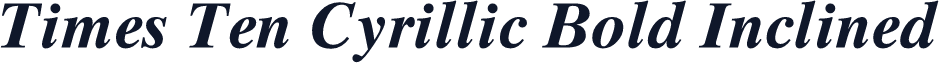 Times Ten Cyrillic Bold Inclined