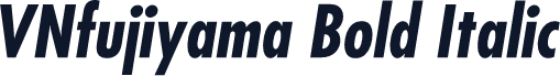 VNfujiyama Bold Italic