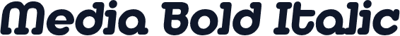 Media Bold Italic