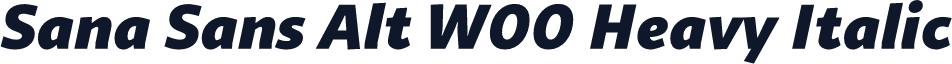 Sana Sans Alt W00 Heavy Italic