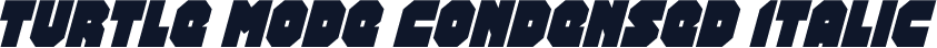 Turtle Mode Condensed Italic