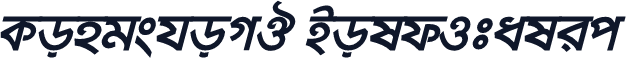 KongshoMJ BoldItalic